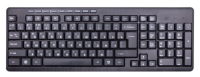Клавиатура  RITMIX Ritmix RKB-255W Black USB